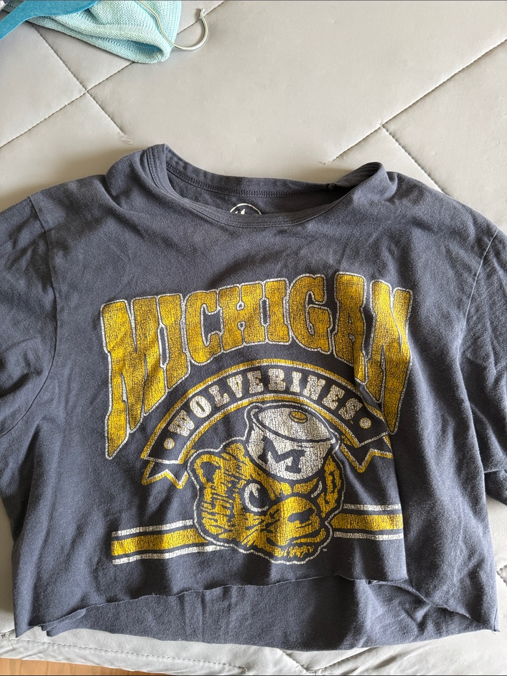Michigan Wolverines Cropped Tee Navy